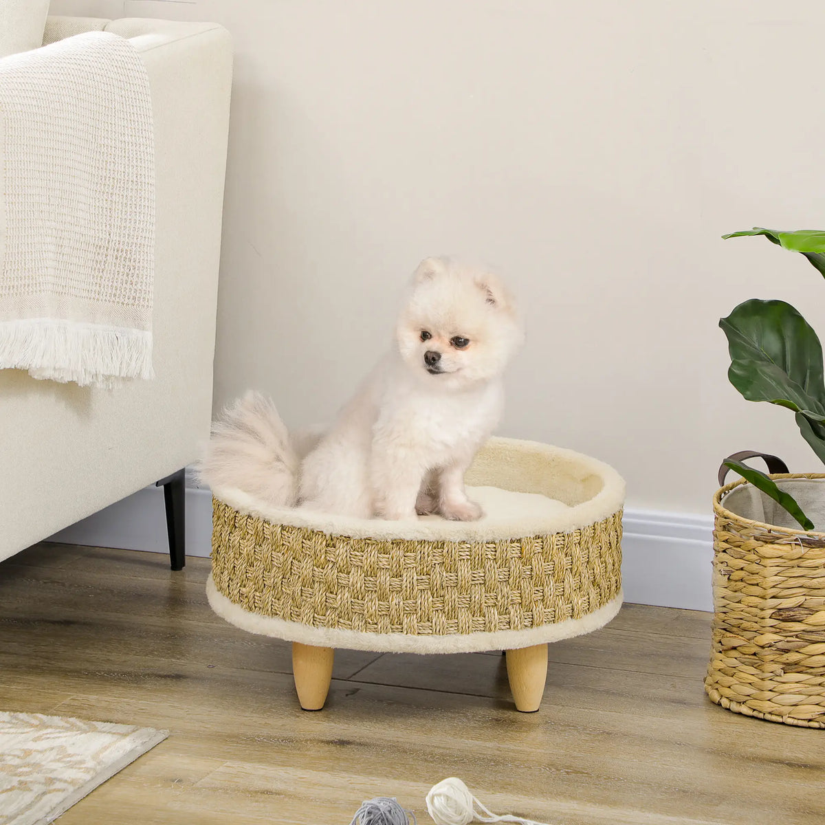 Elevated Woven Pet Lounge for Cats & Small Dogs